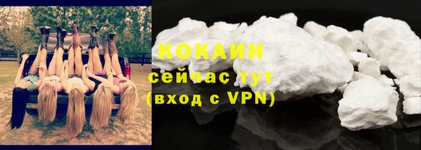стафф Касимов