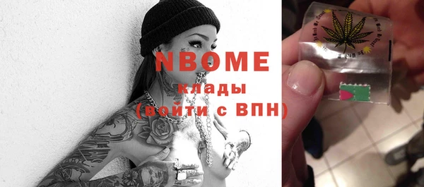 индика Карталы