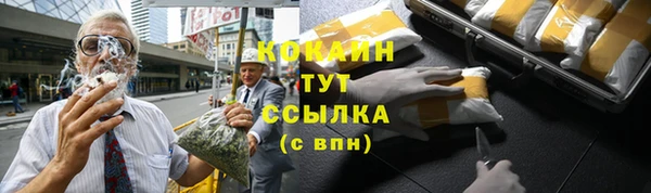 стафф Касимов