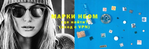 индика Карталы