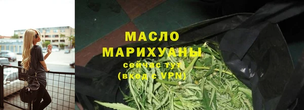 стафф Касимов