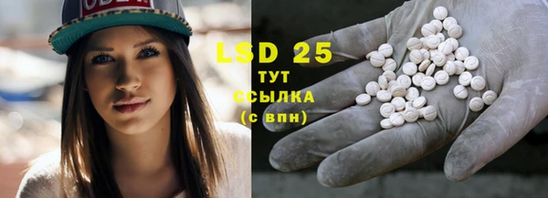 индика Карталы