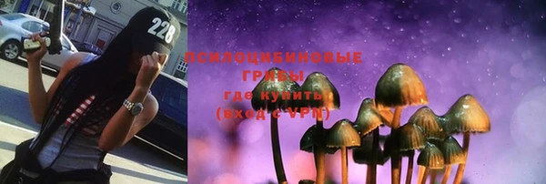 индика Карталы