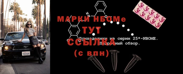 стафф Касимов