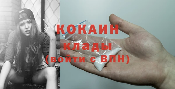 индика Карталы