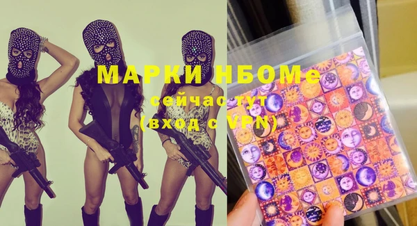 стафф Касимов