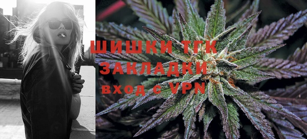 твердый Карпинск