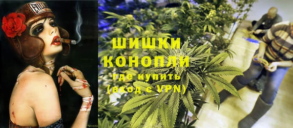 твердый Карпинск