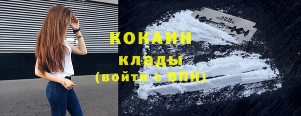 стафф Касимов