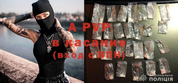 индика Карталы