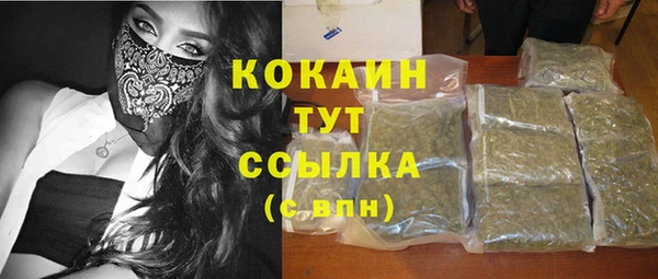 твердый Карпинск