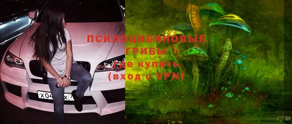 стафф Касимов