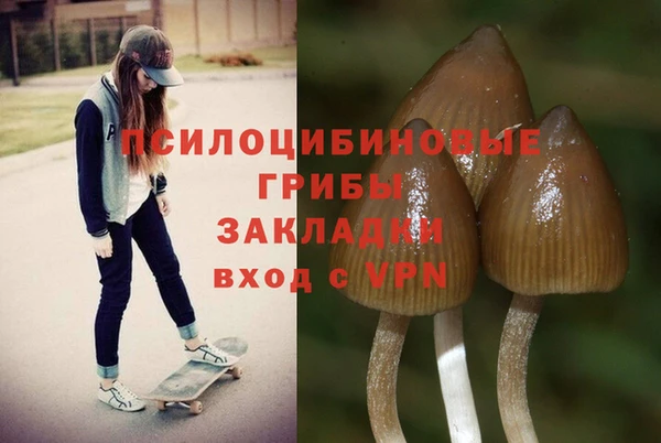 твердый Карпинск