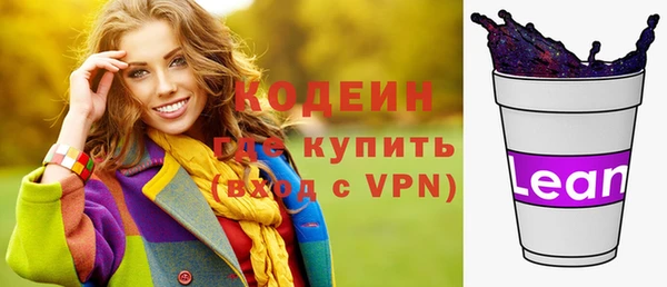 индика Карталы
