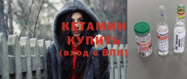 стафф Касимов