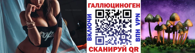 Купить  Камень-на-Оби  Псилоцибиновые грибы Cubensis 