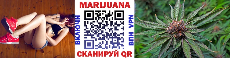 Каннабис план  Купить где  Камень-на-Оби 